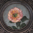 Close up of the Pink rose miniature oil painting in scalloped round frame on cream fabric