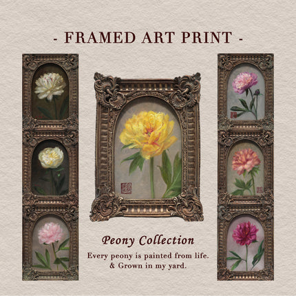 Close-up of a collection of 7 peony portrait paintings print in ornate arch-top frame