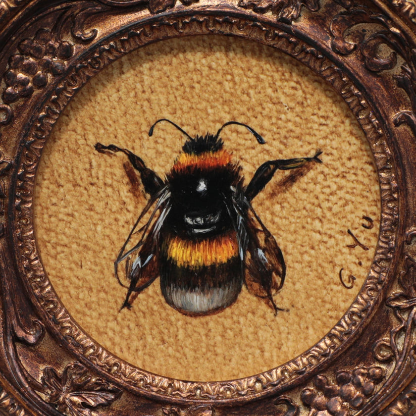 Close-up detail of bumblebee painting print showing fine wing and fur texture
