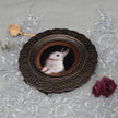 Overhead view of framed bunny art print with dried florals