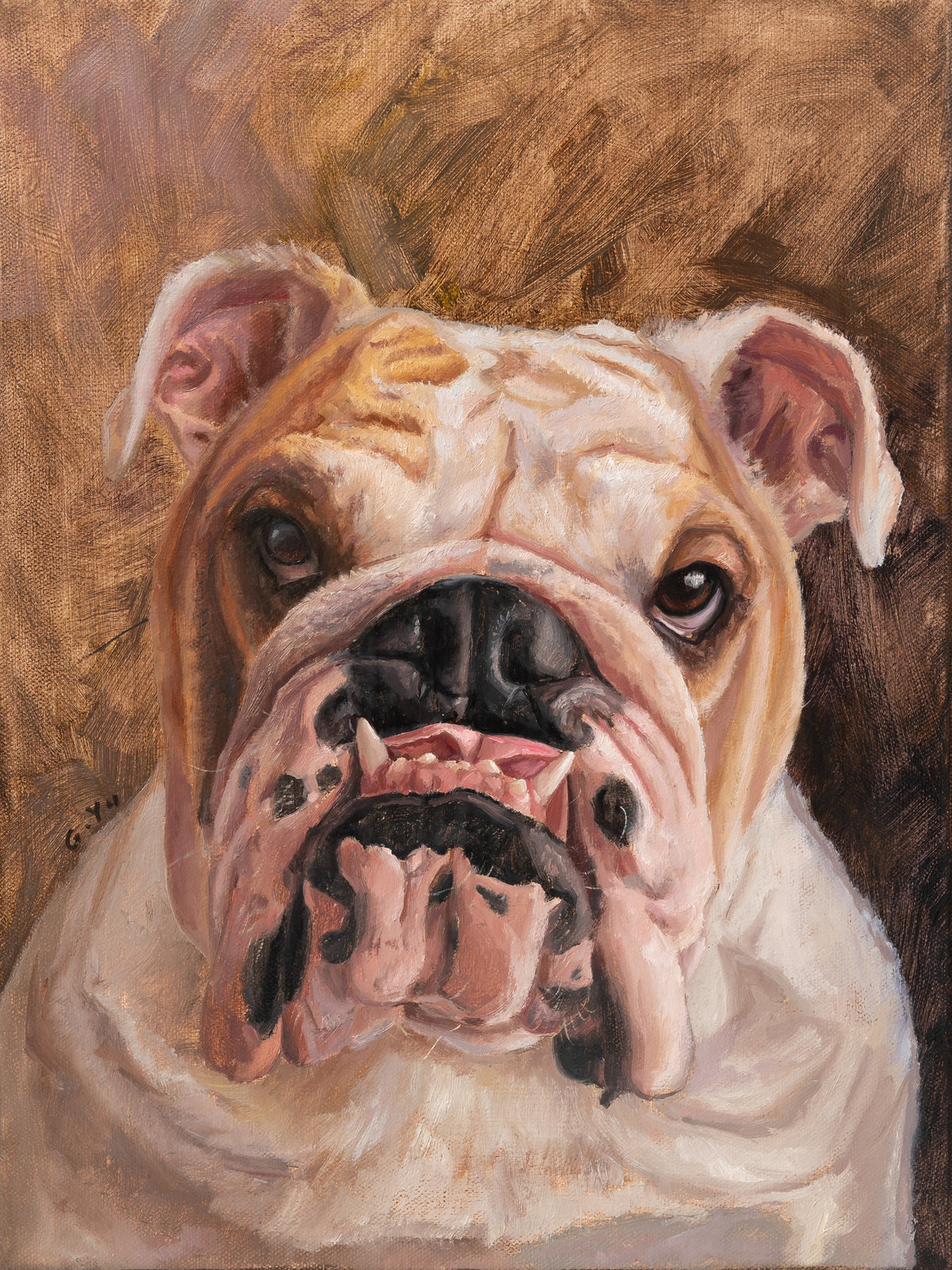 custom oil painting of an English bulldog's face, 12x16 inch pet portrait commission