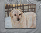 A canvas painting of a Golden Retriever, sitting in a snowy outdoor setting with a fence in the background. The canvas is displayed flat on a textured gray fabric backdrop decorated with white lace.