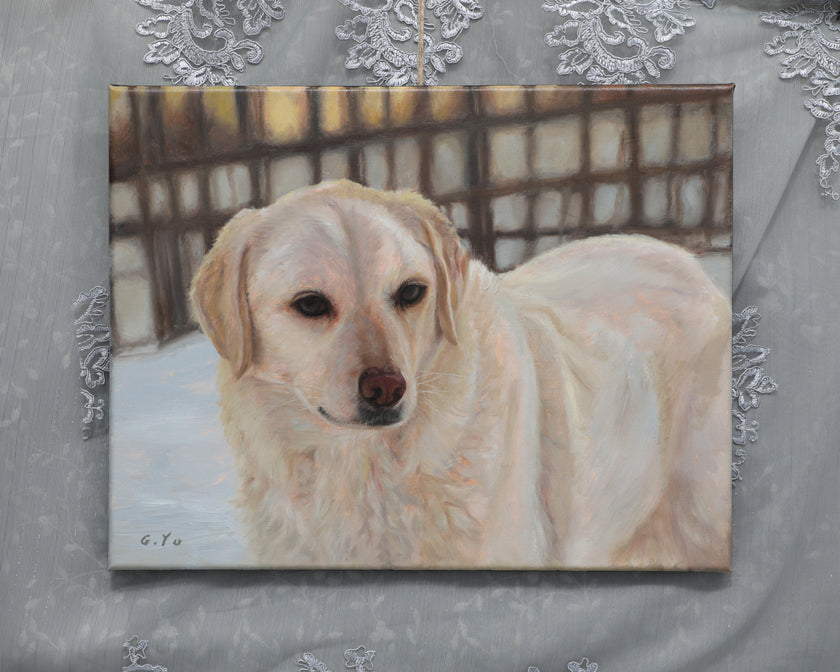 A canvas painting of a Golden Retriever, sitting in a snowy outdoor setting with a fence in the background. The canvas is displayed flat on a textured gray fabric backdrop decorated with white lace.