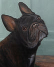 Close-up detail of a custom French bulldog oil painting, showing the textured brushwork on the face and ears