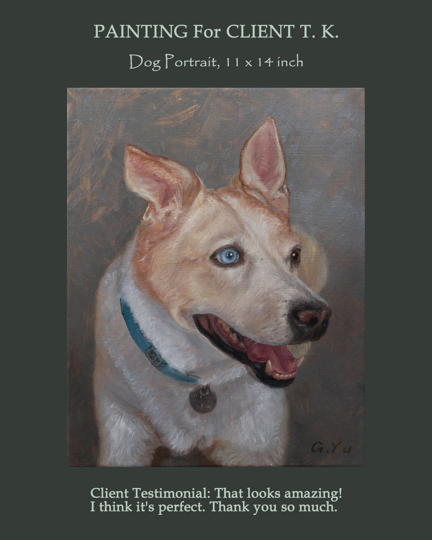 Custom oil portrait of a white dog with one blue eye and one brown eye, 11x14 inch, wearing a blue collar