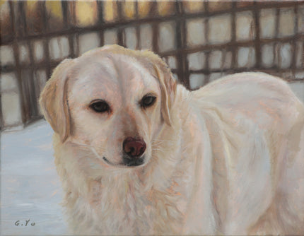 A custom pet portrait oil painting of a Golden Retriever, shown in profile against a blurred fence and snowy ground.