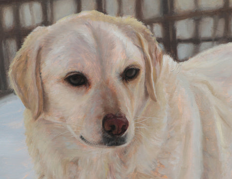 Close up detail of a custom pet portrait oil painting, depicting a Golden Retriever, shown in profile against a blurred fence and snowy ground. 