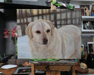 A canvas painting of a golden retriever dog, displayed on an easel in an artist's studio with art supplies and shelves in the background.