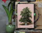 Unframed tree oil painting on an easel in the artist's studio beside a potted plant